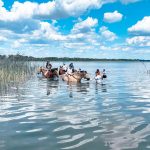 nauka stylów pływackich dorosłych