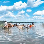 lekcje basenowe dla początkujących