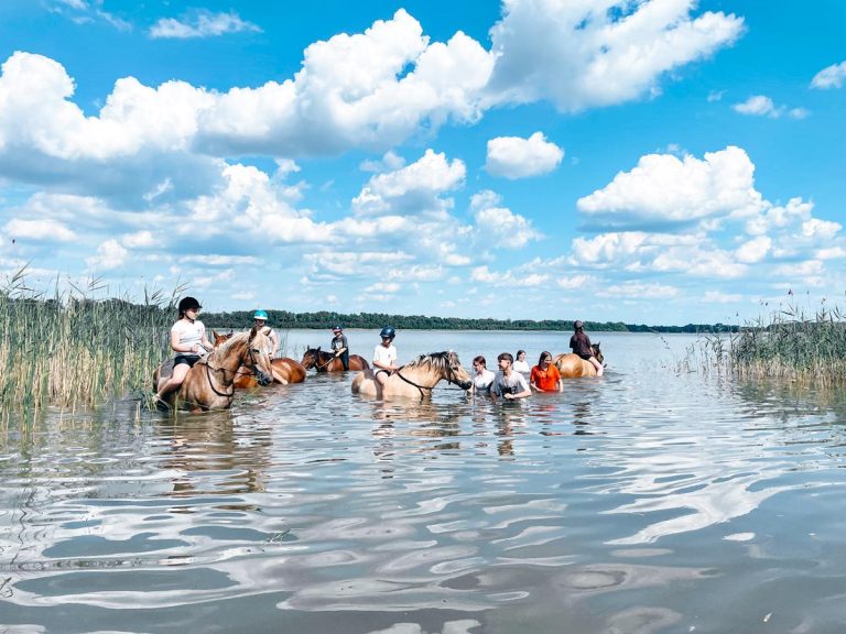 lekcje basenowe dla początkujących